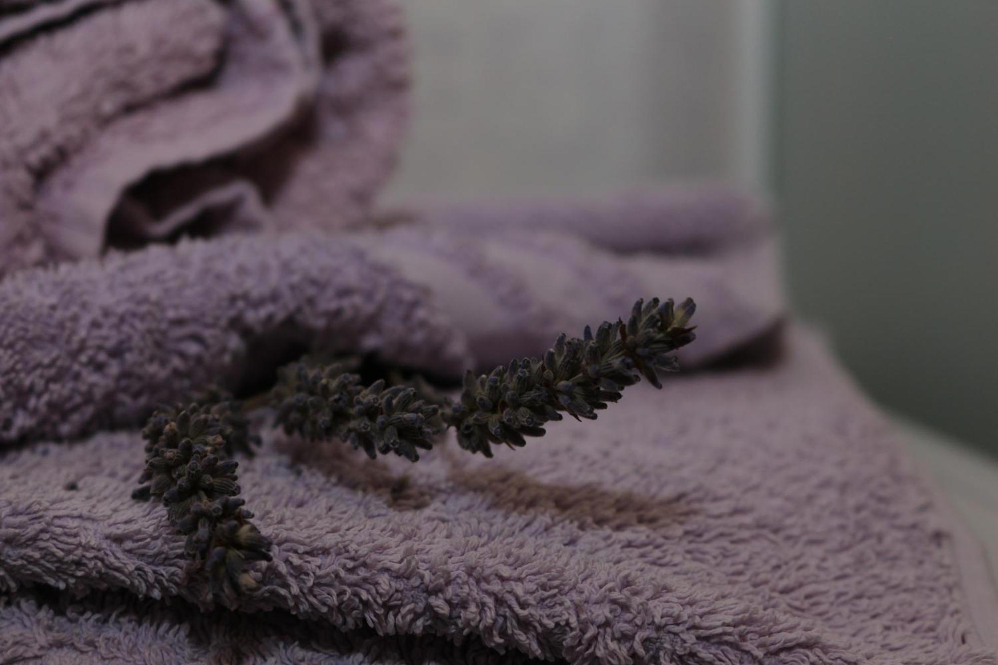 Apartman Kristina فربنيك المظهر الخارجي الصورة
